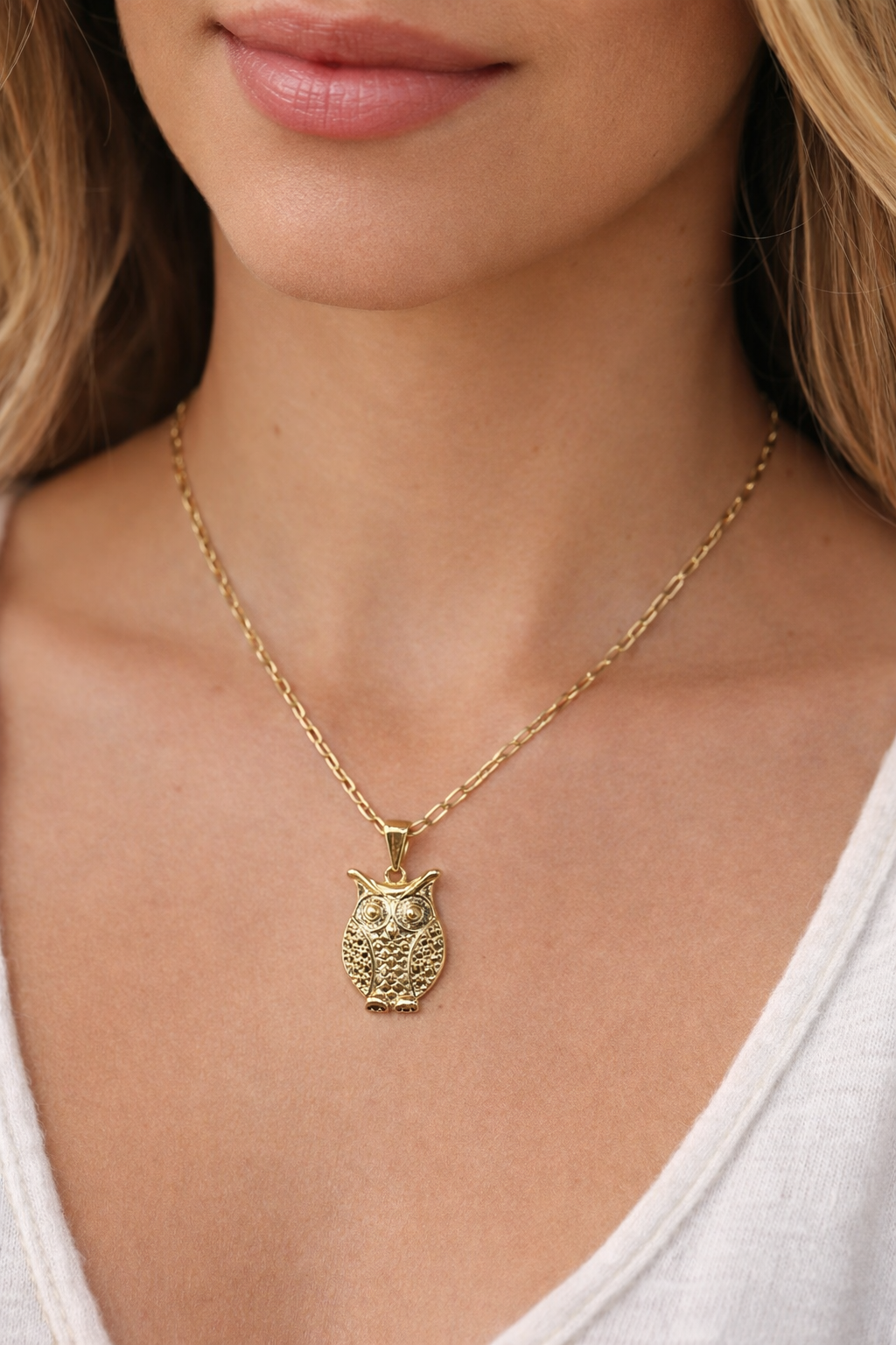 14k Gold Filled Owl Paper Clip Link